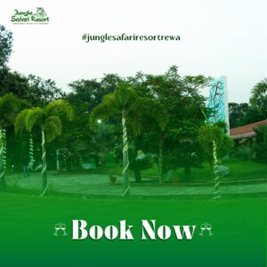 jungle safari resort hotel rewa